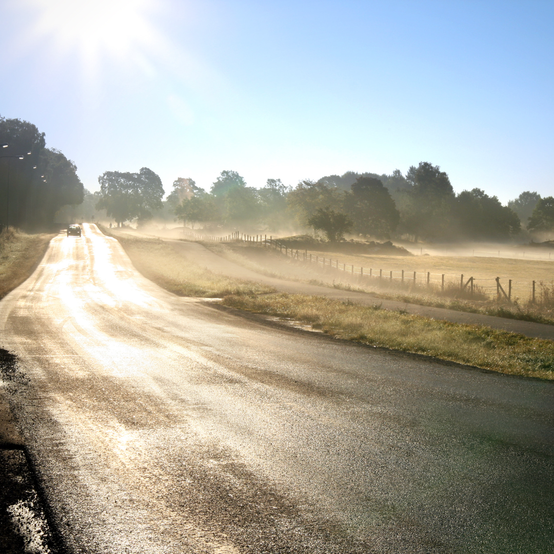 Petrichor: "De betoverende geur van regen na een periode van droogte".